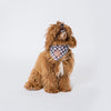 Albatross Reversible Check Neckerchief