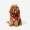 Jasper Neckerchief