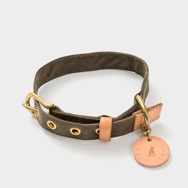 Camp Collar — Olive