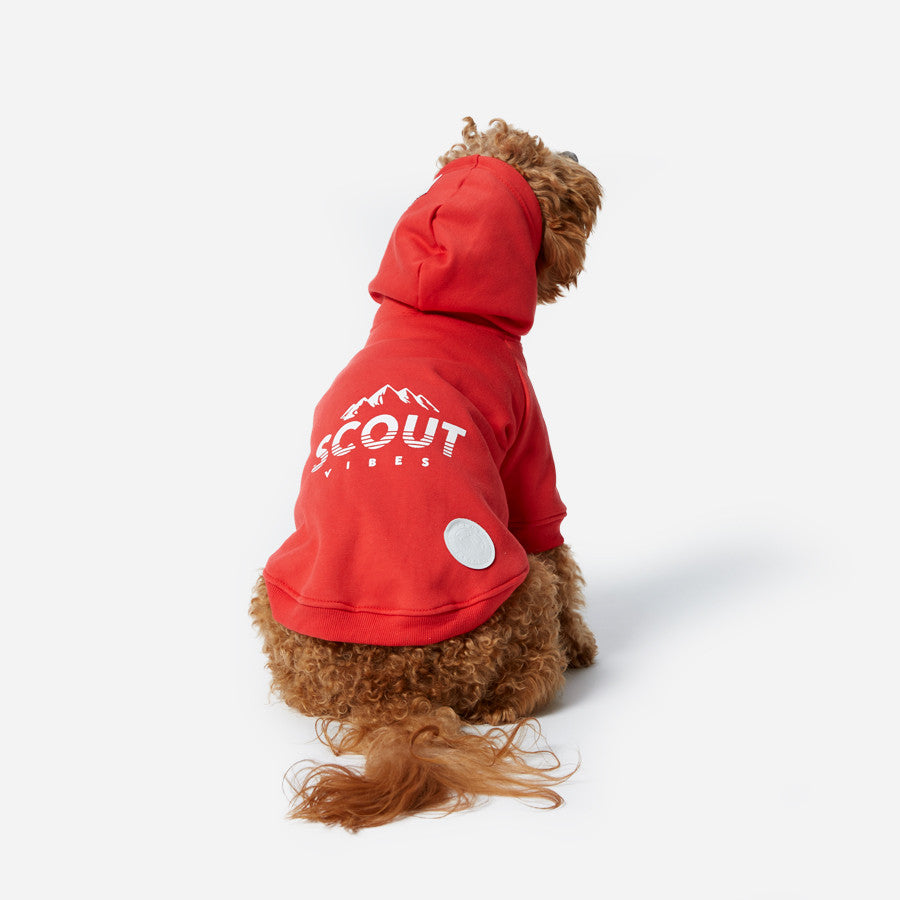 Scout Hoodie