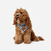 Whistler Neckerchief