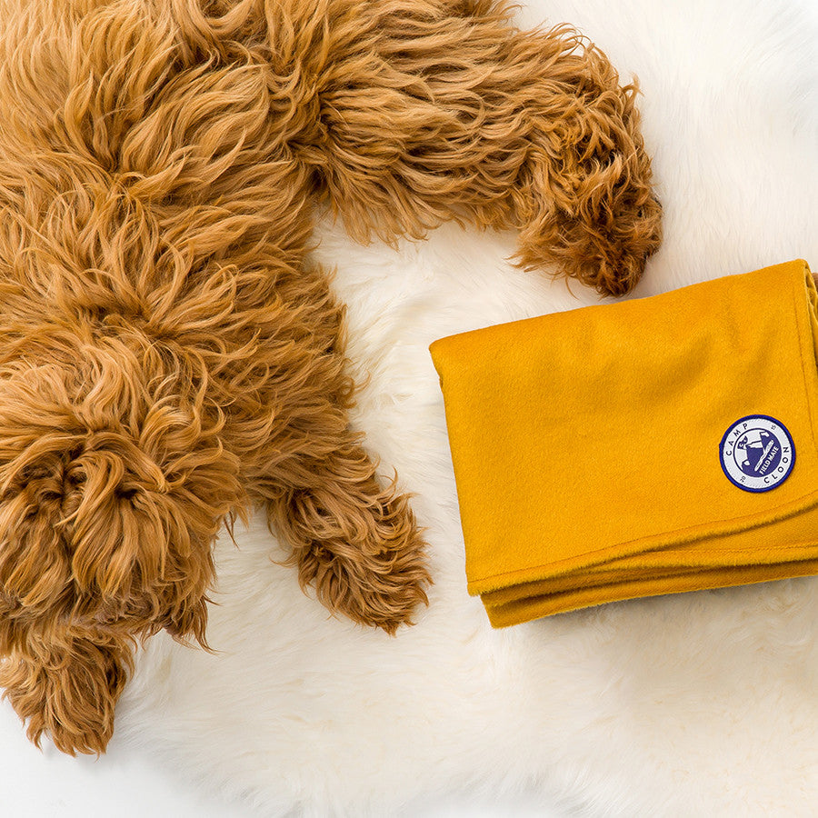 Mustard Cashmere Campfire Blanket