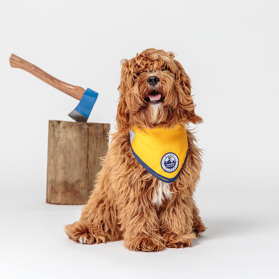 Pack Leader Neckerchief